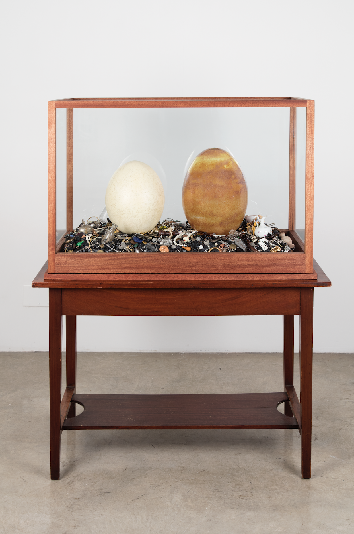 Mark Dion (American, b. 1961) Concerning the Elephant Bird, 2016, mixed media 53-1/4 x39 x 21 inches. Courtesy Tanya Bonakdar Gallery and American Federation of Arts