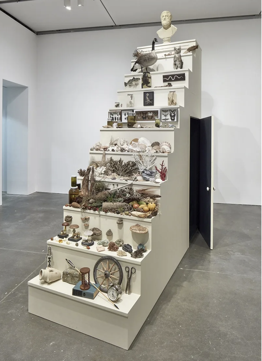 Mark Dion (American, b. 1961), The Classical Mind (Scala Naturae and Cosmic Cabinet), 2017, wooden structure, taxidermy specimens, artifacts, plaster bust, and LED lights, 132 x 144 x 42 inches. Courtesy the artist and Tanya Bonakdar Gallery, New York / Los Angeles  AFA no. 419.008