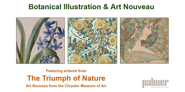 Art Lesson: Botanical Illustration